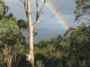 The View From My Kitchen Window