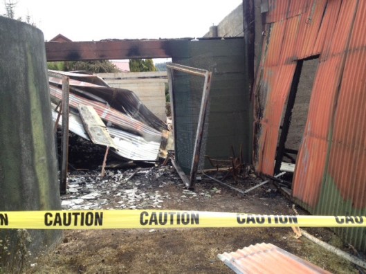 Into the future cautiously...